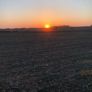 Meet your Posher, Ruth